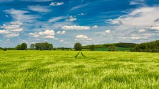 Feld in der Frühlingssonne - <a href="https://ms29.de/iUqhv" target="_blank" rel="noopener">als Bild an Ihrer Wand?</a> - <a href="https://wanderstruck.de">© FotoGlut - Michael Stollmann</a> Drei Gleichen Wanderung - © FotoGlut - Michael Stollmann