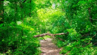 Foto von der "Drei Gleichen" Wanderung - <a href="https://ms29.de">© FotoGlut - Michael Stollmann</a> Drei Gleichen Wanderung - © FotoGlut - Michael Stollmann