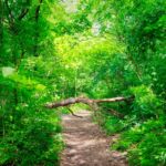 Foto von der "Drei Gleichen" Wanderung - <a href="https://ms29.de">© FotoGlut - Michael Stollmann</a> Drei Gleichen Wanderung - © FotoGlut - Michael Stollmann