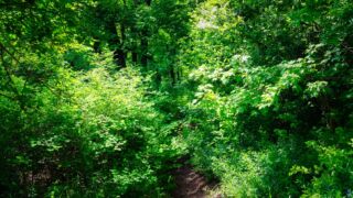 Foto von der "Drei Gleichen" Wanderung - <a href="https://ms29.de">© FotoGlut - Michael Stollmann</a> Drei Gleichen Wanderung - © FotoGlut - Michael Stollmann