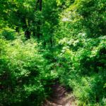 Foto von der "Drei Gleichen" Wanderung - <a href="https://ms29.de">© FotoGlut - Michael Stollmann</a> Drei Gleichen Wanderung - © FotoGlut - Michael Stollmann