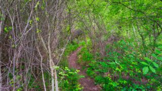 Foto von der "Drei Gleichen" Wanderung - <a href="https://ms29.de">© FotoGlut - Michael Stollmann</a> Drei Gleichen Wanderung - © FotoGlut - Michael Stollmann