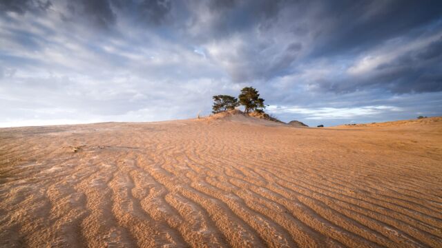Beispielbild von Albert Dros mit Sony SEL-14F18GM