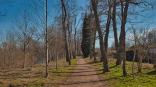 Wanderung " Europaplatz Anger " Erfurt von seiner schönsten Seite entdecken. - <a href="https://ms29.de">© Michael Stollmann</a> - © Michael Stollmann