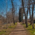 Wanderung " Europaplatz Anger " Erfurt von seiner schönsten Seite entdecken. - <a href="https://ms29.de">© Michael Stollmann</a> - © Michael Stollmann