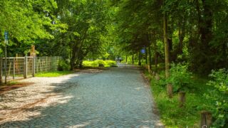 Wanderung " Europaplatz Anger " Erfurt von seiner schönsten Seite entdecken. - <a href="https://ms29.de">© Michael Stollmann</a> ab ins Erfurter Venedig - © Michael Stollmann