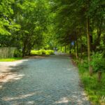 Wanderung " Europaplatz Anger " Erfurt von seiner schönsten Seite entdecken. - <a href="https://ms29.de">© Michael Stollmann</a> ab ins Erfurter Venedig - © Michael Stollmann