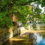 Wanderung " Europaplatz Anger " Erfurt von seiner schönsten Seite entdecken. - <a href="https://ms29.de">© Michael Stollmann</a> Baumhaus - © Michael Stollmann