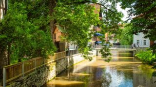 Wanderung " Europaplatz Anger " Erfurt von seiner schönsten Seite entdecken. - <a href="https://ms29.de">© Michael Stollmann</a> Baumhaus - © Michael Stollmann