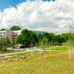 Wanderung " Europaplatz Anger " Erfurt von seiner schönsten Seite entdecken. - <a href="https://ms29.de">© Michael Stollmann</a> Auenteich - © Michael Stollmann