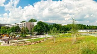 Wanderung " Europaplatz Anger " Erfurt von seiner schönsten Seite entdecken. - <a href="https://ms29.de">© Michael Stollmann</a> Auenteich - © Michael Stollmann