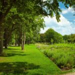 Wanderung " Europaplatz Anger " Erfurt von seiner schönsten Seite entdecken. - <a href="https://ms29.de">© Michael Stollmann</a> der Nordpark begrüßt uns - © Michael Stollmann
