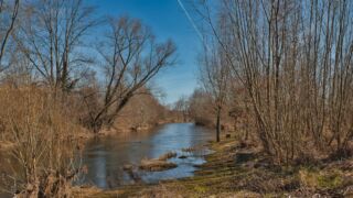 Wanderung " Europaplatz Anger " Erfurt von seiner schönsten Seite entdecken. - <a href="https://ms29.de">© Michael Stollmann</a> die Gera - © Michael Stollmann
