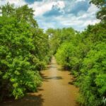 Wanderung " Europaplatz Anger " Erfurt von seiner schönsten Seite entdecken. - <a href="https://ms29.de">© Michael Stollmann</a> die Gera - © Michael Stollmann