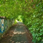 So dunkel ist es gar nicht. - Wanderung " Europaplatz Anger " Erfurt von seiner schönsten Seite entdecken. - <a href="https://ms29.de">© Michael Stollmann</a> dunkle Gasse - © Michael Stollmann