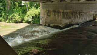 Wanderung " Europaplatz Anger " Erfurt von seiner schönsten Seite entdecken. - <a href="https://ms29.de">© Michael Stollmann</a> Flutgraben - © Michael Stollmann