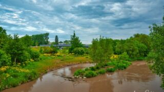Wanderung " Europaplatz Anger " Erfurt von seiner schönsten Seite entdecken. - <a href="https://ms29.de">© Michael Stollmann</a> Gerapark - © Michael Stollmann
