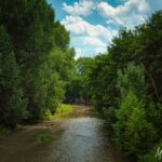 Wanderung " Europaplatz Anger " Erfurt von seiner schönsten Seite entdecken. - <a href="https://ms29.de">© Michael Stollmann</a> Kanustrecke am Nettelbeckufer - © Michael Stollmann