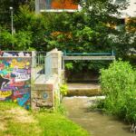 Wanderung " Europaplatz Anger " Erfurt von seiner schönsten Seite entdecken. - <a href="https://ms29.de">© Michael Stollmann</a> Klein Venedig - © Michael Stollmann