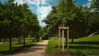 Wanderung " Europaplatz Anger " Erfurt von seiner schönsten Seite entdecken. - <a href="https://ms29.de">© Michael Stollmann</a> rechts herum - © Michael Stollmann