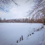 Nabu-Naturlehrpfad "Wilde Weiden" - Touringen Stempel 267, 268, 269, 270)) - <a href="https://ms29.de">© Michael Stollmann</a> Nabu-Naturlehrpfad "Wilde Weiden" - © Michael Stollmann