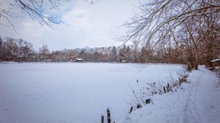 Nabu-Naturlehrpfad "Wilde Weiden" - Touringen Stempel 267, 268, 269, 270)) - <a href="https://ms29.de">© Michael Stollmann</a> Nabu-Naturlehrpfad "Wilde Weiden" - © Michael Stollmann