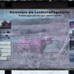 Nabu-Naturlehrpfad "Wilde Weiden" - Touringen Stempel 267, 268, 269, 270)) - <a href="https://ms29.de">© Michael Stollmann</a> Nabu-Naturlehrpfad "Wilde Weiden" - © Michael Stollmann