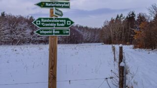 Nabu-Naturlehrpfad "Wilde Weiden" - Touringen Stempel 267, 268, 269, 270)) - <a href="https://ms29.de">© Michael Stollmann</a> Nabu-Naturlehrpfad "Wilde Weiden" - © Michael Stollmann