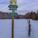 Nabu-Naturlehrpfad "Wilde Weiden" - Touringen Stempel 267, 268, 269, 270)) - <a href="https://ms29.de">© Michael Stollmann</a> Nabu-Naturlehrpfad "Wilde Weiden" - © Michael Stollmann