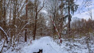 Nabu-Naturlehrpfad "Wilde Weiden" - Touringen Stempel 267, 268, 269, 270)) - <a href="https://ms29.de">© Michael Stollmann</a> Nabu-Naturlehrpfad "Wilde Weiden" - © Michael Stollmann