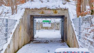Nabu-Naturlehrpfad "Wilde Weiden" - Touringen Stempel 267, 268, 269, 270)) - <a href="https://ms29.de">© Michael Stollmann</a> Nabu-Naturlehrpfad "Wilde Weiden" - © Michael Stollmann