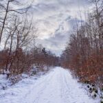 Nabu-Naturlehrpfad "Wilde Weiden" - Touringen Stempel 267, 268, 269, 270)) - <a href="https://ms29.de">© Michael Stollmann</a> Nabu-Naturlehrpfad "Wilde Weiden" - © Michael Stollmann