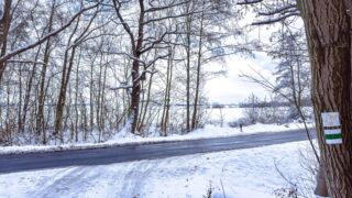 Nabu-Naturlehrpfad "Wilde Weiden" - Touringen Stempel 267, 268, 269, 270)) - <a href="https://ms29.de">© Michael Stollmann</a> Nabu-Naturlehrpfad "Wilde Weiden" - © Michael Stollmann