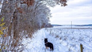 Nabu-Naturlehrpfad "Wilde Weiden" - Touringen Stempel 267, 268, 269, 270)) - <a href="https://ms29.de">© Michael Stollmann</a> Nabu-Naturlehrpfad "Wilde Weiden" - © Michael Stollmann