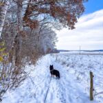 Nabu-Naturlehrpfad "Wilde Weiden" - Touringen Stempel 267, 268, 269, 270)) - <a href="https://ms29.de">© Michael Stollmann</a> Nabu-Naturlehrpfad "Wilde Weiden" - © Michael Stollmann
