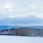 Nabu-Naturlehrpfad "Wilde Weiden" - Touringen Stempel 267, 268, 269, 270)) - <a href="https://ms29.de">© Michael Stollmann</a> Nabu-Naturlehrpfad "Wilde Weiden" - © Michael Stollmann