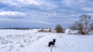 Nabu-Naturlehrpfad "Wilde Weiden" - Touringen Stempel 270 - <a href="https://ms29.de">© Michael Stollmann</a> Nabu-Naturlehrpfad "Wilde Weiden" - © Michael Stollmann