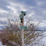 Nabu-Naturlehrpfad "Wilde Weiden" - Touringen Stempel 267, 268, 269, 270)) - <a href="https://ms29.de">© Michael Stollmann</a> Nabu-Naturlehrpfad "Wilde Weiden" - © Michael Stollmann