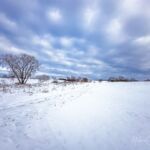 Nabu-Naturlehrpfad "Wilde Weiden" - Touringen Stempel 267, 268, 269, 270)) - <a href="https://ms29.de">© Michael Stollmann</a> Nabu-Naturlehrpfad "Wilde Weiden" - © Michael Stollmann