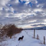 Nabu-Naturlehrpfad "Wilde Weiden" - Touringen Stempel 267, 268, 269, 270)) - <a href="https://ms29.de">© Michael Stollmann</a> Nabu-Naturlehrpfad "Wilde Weiden" - © Michael Stollmann