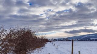 Nabu-Naturlehrpfad "Wilde Weiden" - Touringen Stempel 267, 268, 269, 270)) - <a href="https://ms29.de">© Michael Stollmann</a> Nabu-Naturlehrpfad "Wilde Weiden" - © Michael Stollmann