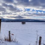 Hier gehts zum Touringen Stempel 268. Er ist in der Aussichtsplattform. - <a href="https://ms29.de">© Michael Stollmann</a> Nabu-Naturlehrpfad "Wilde Weiden" - © Michael Stollmann