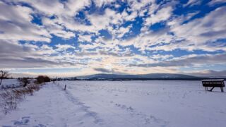 Nabu-Naturlehrpfad "Wilde Weiden" - Touringen Stempel 267, 268, 269, 270)) - <a href="https://ms29.de">© Michael Stollmann</a> Nabu-Naturlehrpfad "Wilde Weiden" - © Michael Stollmann