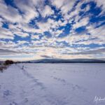 Nabu-Naturlehrpfad "Wilde Weiden" - Touringen Stempel 267, 268, 269, 270)) - <a href="https://ms29.de">© Michael Stollmann</a> Nabu-Naturlehrpfad "Wilde Weiden" - © Michael Stollmann
