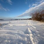 Spuren im Schnee - <a href="https://ms29.de">© Michael Stollmann</a> Nabu-Naturlehrpfad "Wilde Weiden" - © Michael Stollmann