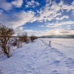 Das ist tatsächlich der Weg... - <a href="https://ms29.de">© Michael Stollmann</a> Nabu-Naturlehrpfad "Wilde Weiden" - © Michael Stollmann