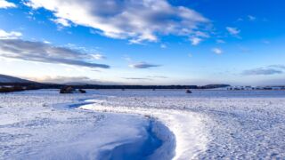 Nabu-Naturlehrpfad "Wilde Weiden" - Touringen Stempel 267, 268, 269, 270)) - <a href="https://ms29.de">© Michael Stollmann</a> Nabu-Naturlehrpfad "Wilde Weiden" - © Michael Stollmann