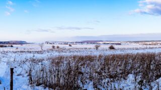 Nabu-Naturlehrpfad "Wilde Weiden" - Touringen Stempel 267, 268, 269, 270)) - <a href="https://ms29.de">© Michael Stollmann</a> Nabu-Naturlehrpfad "Wilde Weiden" - © Michael Stollmann