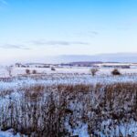 Nabu-Naturlehrpfad "Wilde Weiden" - Touringen Stempel 267, 268, 269, 270)) - <a href="https://ms29.de">© Michael Stollmann</a> Nabu-Naturlehrpfad "Wilde Weiden" - © Michael Stollmann