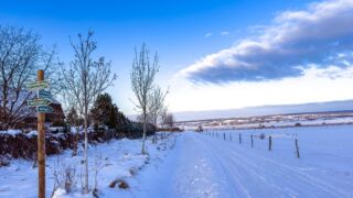 Kurz vor dem Ende gehts noch ein paar Meter durch Crawinkel. Auch hier gut ausgeschildert. - <a href="https://ms29.de">© Michael Stollmann</a> Nabu-Naturlehrpfad "Wilde Weiden" - © Michael Stollmann